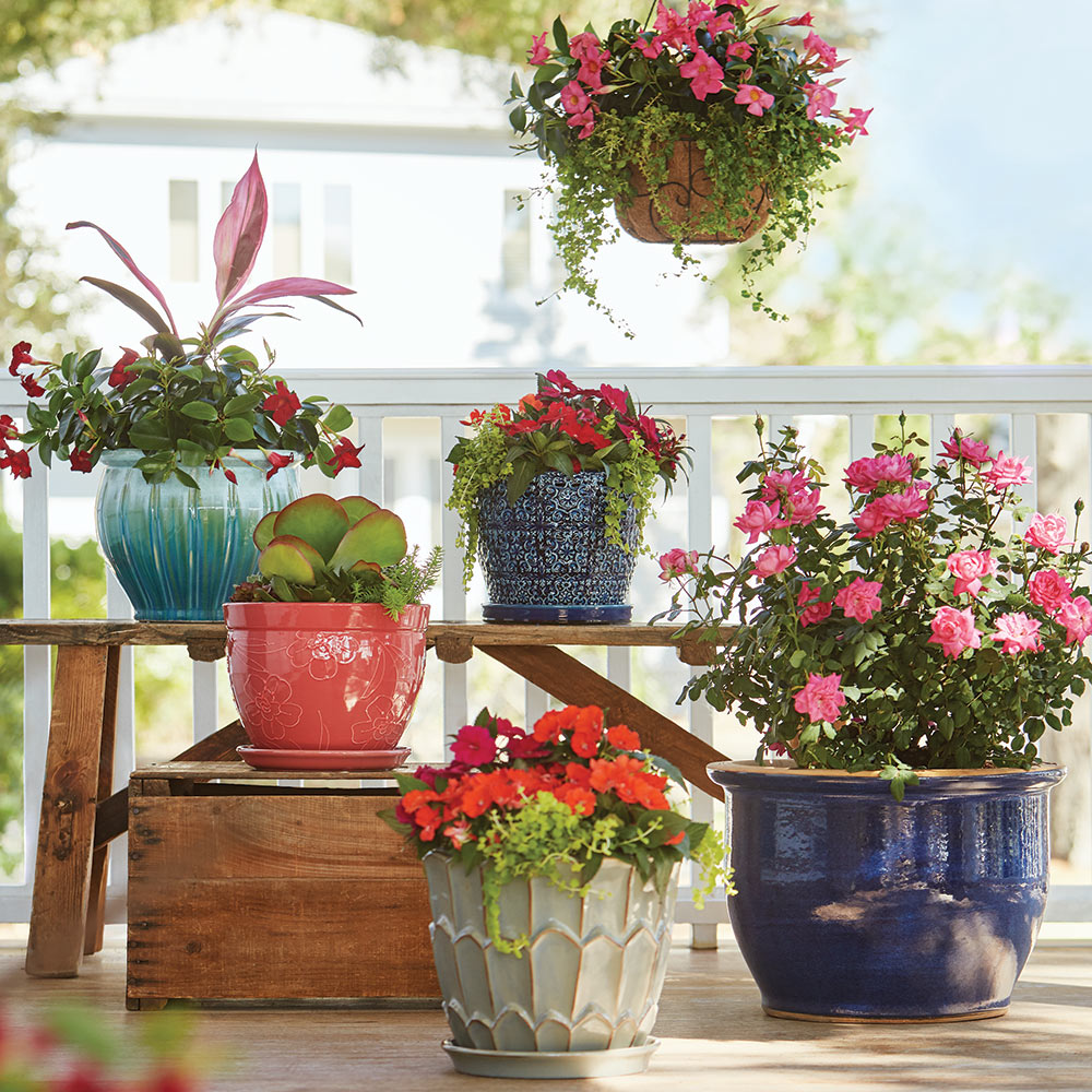 Choosing the Right Flower Pot For Your Garden